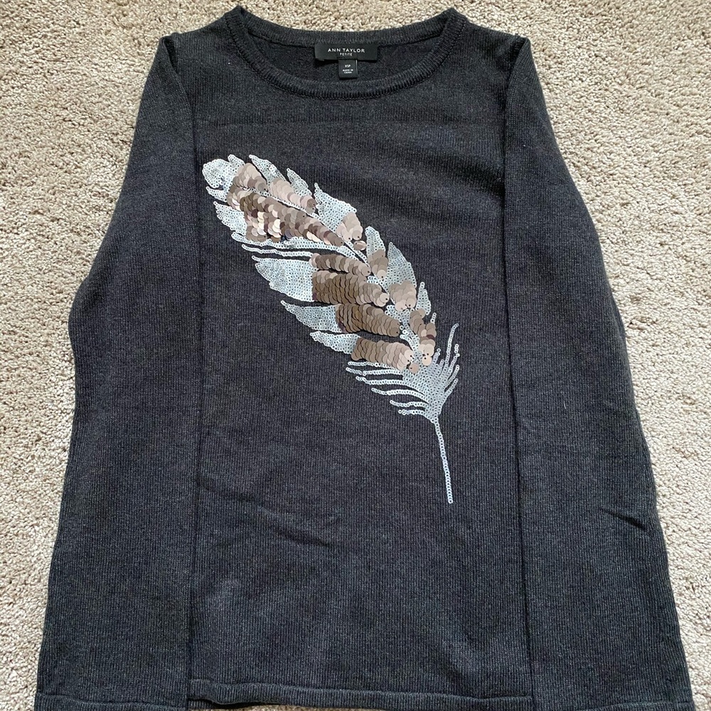 Ann Taylor Sweater